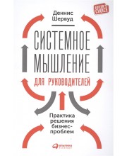 Системное мышление для руководителей. Практика решения бизнес-проблем