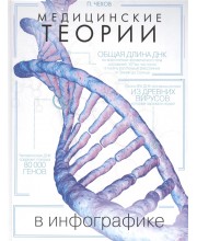 Медицинские теории в инфографике