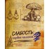Гравити Фолз. Дневник 3