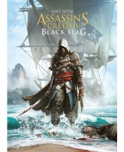 Мир игры Assassin's Creed: Black Flag Мир игры Assassin's Creed: Black Flag