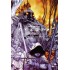 Сказки. Книга 5