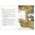 The Sandman. Песочный человек. Ловцы снов The Sandman. Песочный человек. Ловцы снов