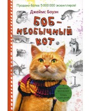 Боб - необычный кот