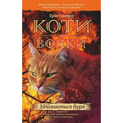 Коти-Вояки. Здіймається буря