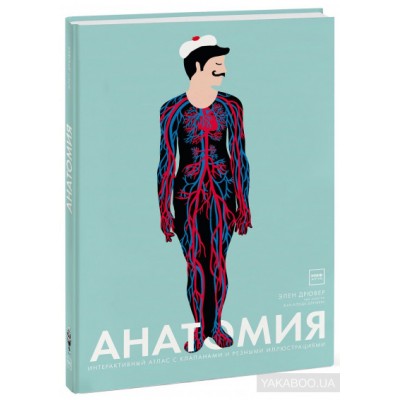 Анатомия