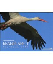 Белый аист. Посланец неба. Черный аист. Лесной отшельник
